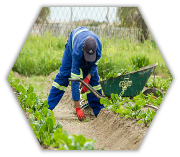 Farming Enterprises