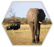 Tourism